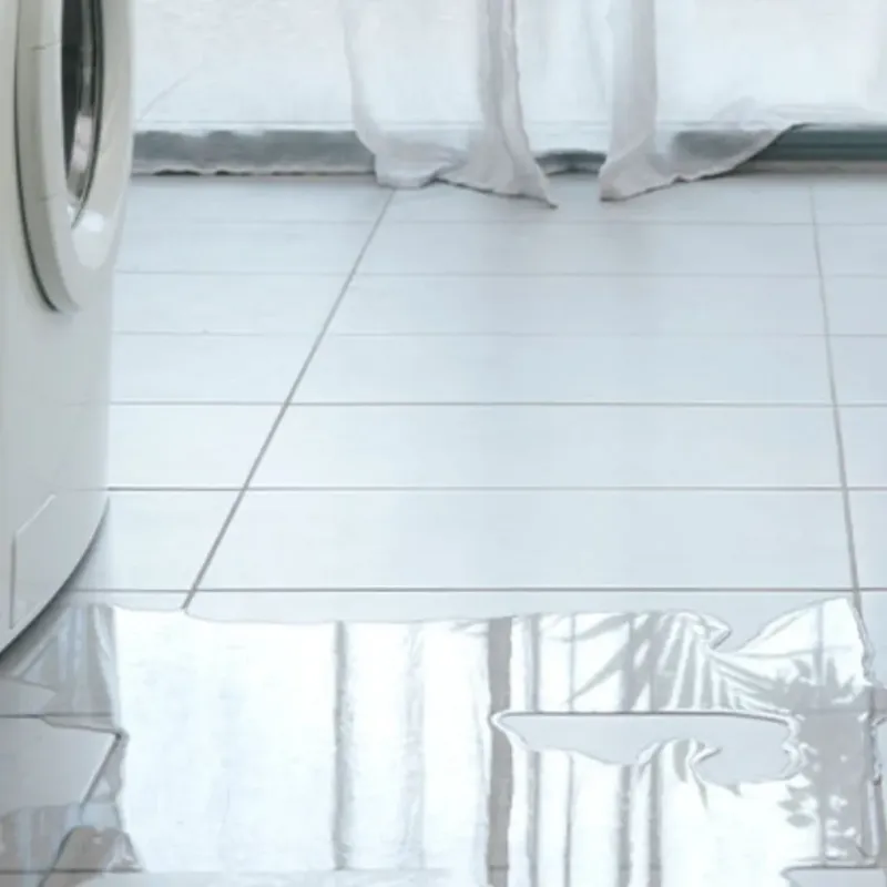 Appliance Leak Cleanup in Riverview, DE