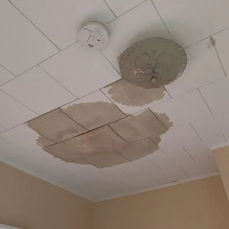 Ceiling Water Damage Repair in Riverview, DE