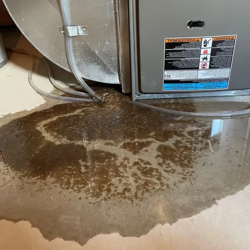 Pipe Burst and Leak Restoration in Riverview, DE