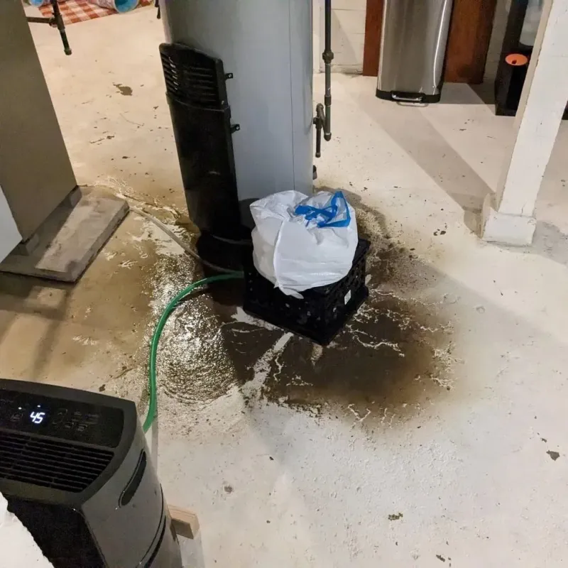 Sewage Backup Cleanup Service in Riverview, DE